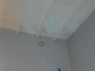  swt-skinny chat room