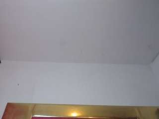 Catalinaa-Rosse