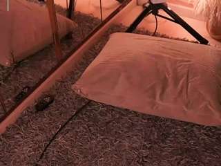 ariafoster Sex Cam Show