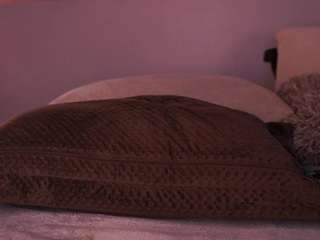 ariafoster Sex Cam Show