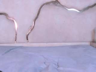 salmaportman