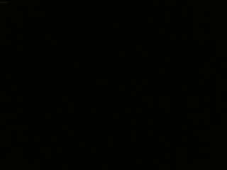 bridgetti webcam model