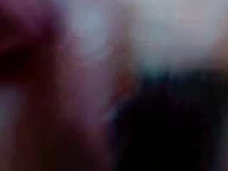 lissiehiltton