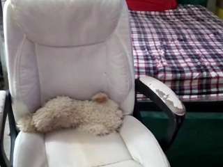 tinasnoww chat room