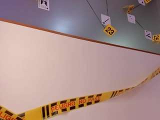 abigail-bolton