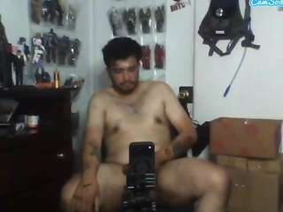 mexicanpapibear