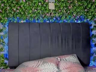 adara-44 webcam