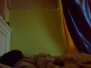 Live cam show with sauccyspoilage