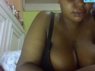 sauccyspoilage live profile