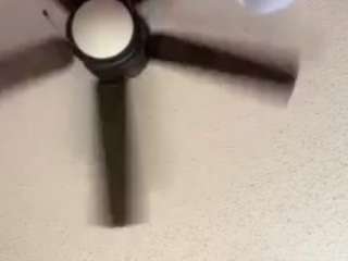 jaydatbby webcam model