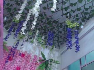 blondesquirt's CamSoda show and profile