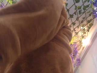 blondesquirt