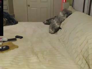 ivynyxx3580