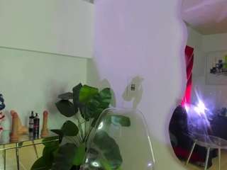 milanht webcam