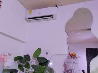milanht webcam