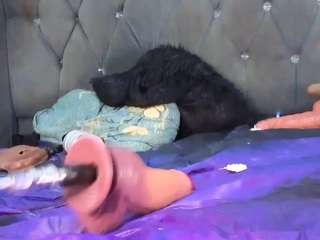 galdemchick live cam preview