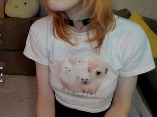 little-chips live webcam show