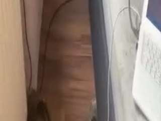 wolfgangjerker Sex Cam Show