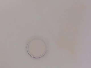 madelanecoote webcam