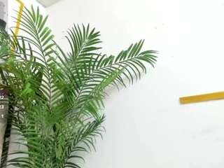 miiranda-vega live webcam show