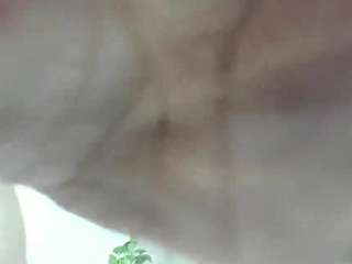 dalila30x