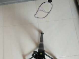 dalila30x