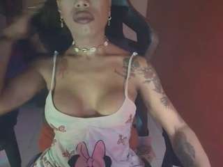 laurensgoddes webcam