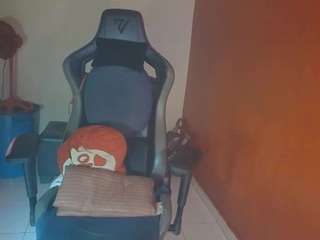 laurensgoddes webcam