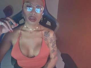 laurensgoddes webcam