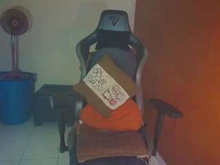 laurensgoddes webcam