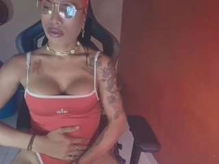 laurensgoddes webcam