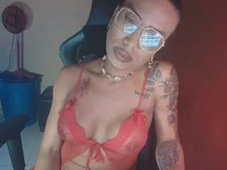 laurensgoddes webcam