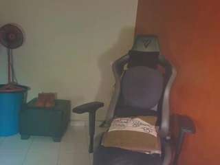 laurensgoddes webcam