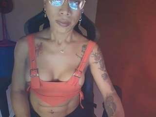 laurensgoddes webcam