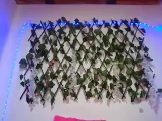 anymour's Live Sex Cam Show