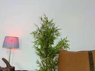 camila360