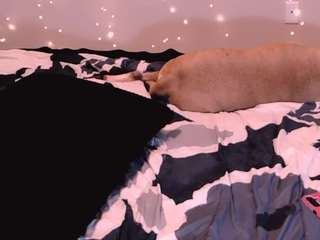 curvymilfshake