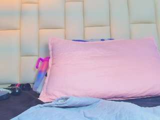 mssmar19 webcam