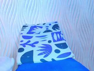 mssmar19 webcam