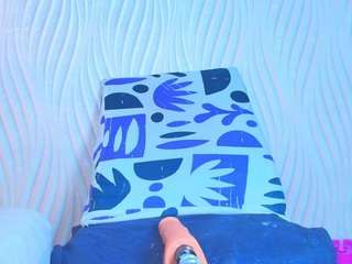 mssmar19 webcam