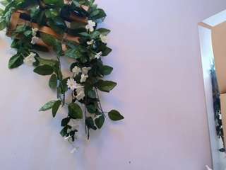 msssamy26 Live Webcam on CamSoda