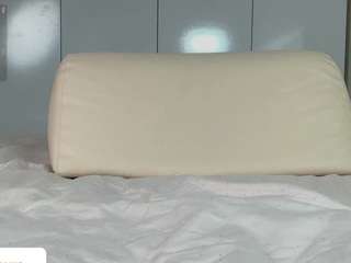 goldenbutterfly live cam preview
