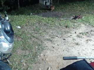 reina-mature's CamSoda show and profile