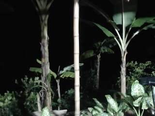 reina-mature's CamSoda show and profile