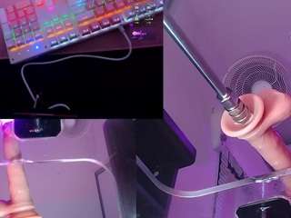 BellyRouse