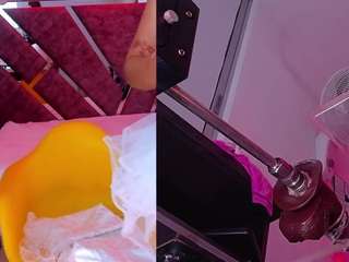 BellyRouse
