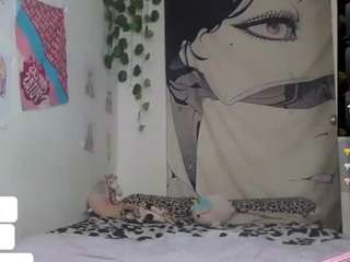 charlotbelucci