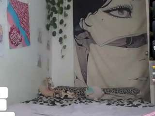 charlotbelucci