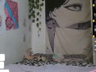 Charlotbelucci live cam