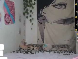 charlotbelucci